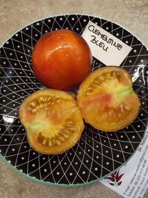 Clementine Bleu Tomate - Tomato 5+ Samen - Saatgut - Seeds - Gemüsesamen P 202