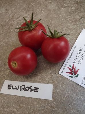 Elvirose Tomate - Tomato 5+ Samen - Saatgut - Seeds - Gemüsesamen P 218