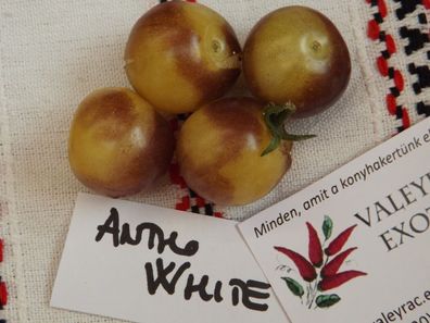 Antho White - WEIß Tomate - 5+ Samen - Saatgut - BLAUE Kirschtomate P 028