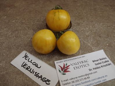 Yellow Vernissage Tomate - 10+ Samen - Saatgut - Ertragreiche RARITäT! P 124
