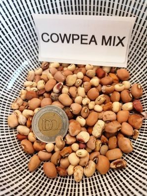 Augenbohnen Mix - Cowpea Mix - 20+ Samen - Saatgut - Seeds - Gemüsesamen H 095