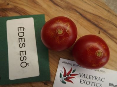 Süsser Regen Tomate - Sladkaya Grozhd - Tomato 5+ Samen - Saatgut - Seeds P 306