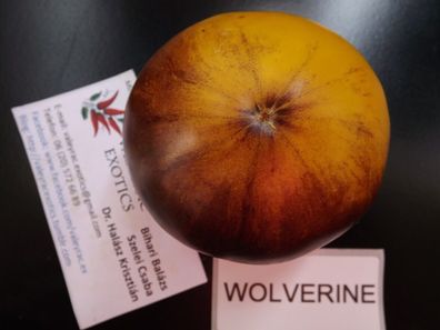 Wolverine Tomate - Tomato 5+ Samen - Saatgut - Seeds - Gemüsesamen P 267