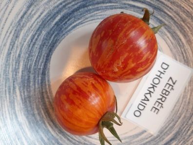 Zebrée d´Hokkaido Tomate - Tomato aus Japan - 5+ Samen - Saatgut - Seeds P 352