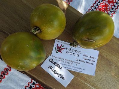 Queen Aliquippa Tomate - Tomato 10+ Samen - Saatgut - Seeds - Gemüsesamen P 264