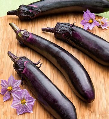 Melanzana Viserba Aubergine - Eggplant - 20+ Samen - Saatgut - Seeds So 014
