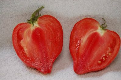 Teton de Venus Tomate - Tomato 5+ Samen - Saatgut - Seeds - Gemüsesamen P 295