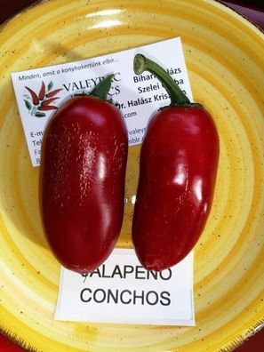 Jalapeno Conchos Chili 5+ Samen - Saatgut - Seeds - Gemüsesamen Ch 196