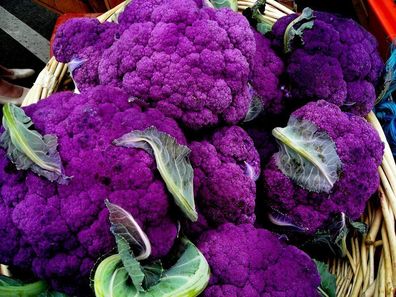 Violette Blumenkohl 20+ Samen - Seeds - Graines - FARBIG und FEIN! B 003