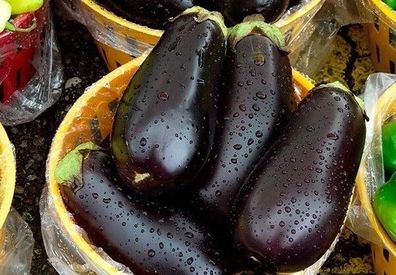 Juga Aubergine - Eggplant - 20+ Samen - Saatgut - Seeds - Gemüsesamen So 037