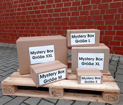 Mystery Überraschungs Box "Haushalt / Garten" - Größe S - ca. 25x17x10 cm
