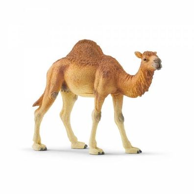 Schleich 14832 - Spielfigur, Wild Dromedar