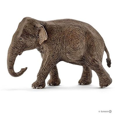 Schleich 14753 - Wild Life Asiatische Elefantenkuh