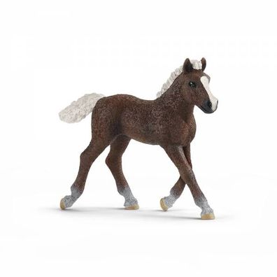 Schleich 13899 - Spielfigur, Schwarzwälder Fohlen