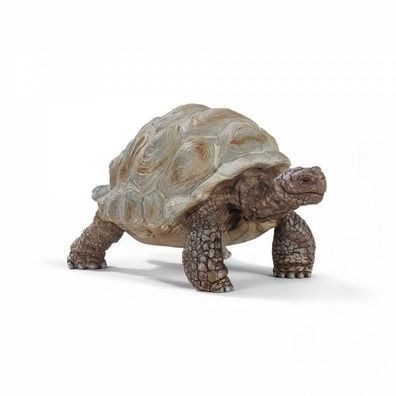 Schleich 14824 - Spielfigur, Wild Riesen Schildkröte