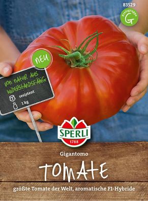 Tomate Gigantomo - größte Tomate der Welt, aromatische F1-Hybride