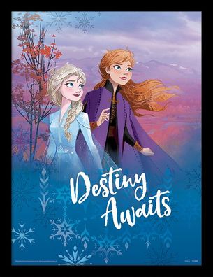 Disney Frozen 2 / Die Eiskönigin - gerahmtes Bild "Destiny Awaits"