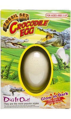 Krokodil im Ei Fossilset Ausgrabungsset