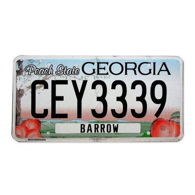 US - Nummernschild Georgia