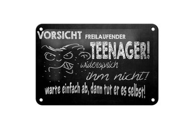 Blechschild Spruch 18x12cm Vorsicht freilaufender Teenager Deko Schild