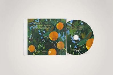 Lana Del Rey: Violet Bent Backwards Over The Grass (Spoken Word) - Urban - (CD / Ti