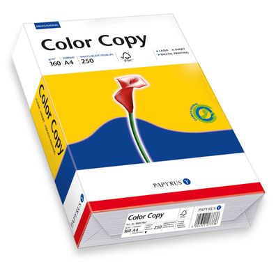 Papyrus Kopier und Druckerpapier Color Copy DIN A4 250 Blatt