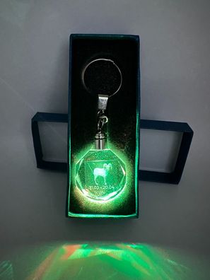 Widder Sternzeichen Schlüsselanhänger LED Multicolor mit Geschenkbox