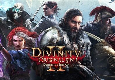 Divinity: Original Sin 2 Definitive Edition GOG CD Key