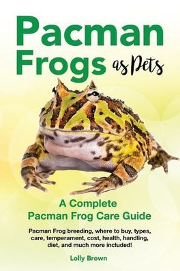 Pacman Frogs as Pets: Pacman Frog breeding, where to buy, types, care, temp ...