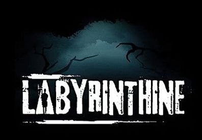 Labyrinthine Steam CD Key