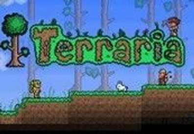 Terraria Steam CD Key