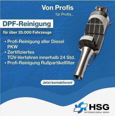 Dieselpartikelfilter Reinigung Katalysator Reinigung DPF Reinigung in 24 Stunden