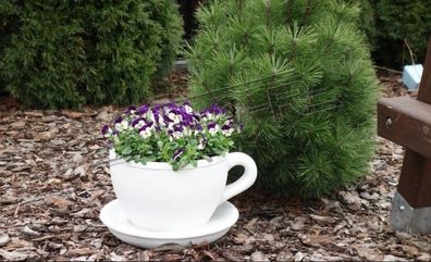 Blumenkübel Pflanz Kübel Dekoration Figur Blumentöpfe Garten Vasen Kaffee Tasse