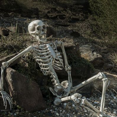Halloween Skelett, 150 cm - Gruseldekoration - beweglich