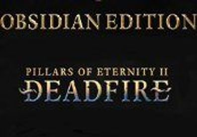 Pillars of Eternity II: Deadfire Obsidian Edition Steam CD Key