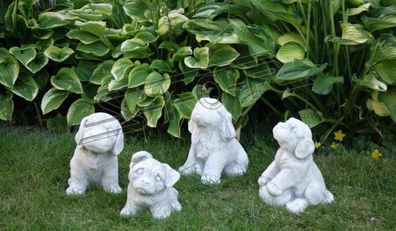 Garten Dekoration Hund Terrasse Stein Figuren Figur Deko Statue Skulptur S103074