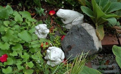 Garten Dekoration Frosch Terrasse Stein Figuren Figur Deko Statue Skulptur 527