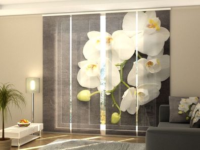 Foto-Schiebegardine weiße Orchidee auf Grau, Flächenvorhang mit Motiv, auf Maß