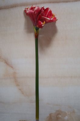 Amaryllis mit 2 Blüten und 1 Knospe, natural touch, künstlich, 68 cm, Rosé gestreift