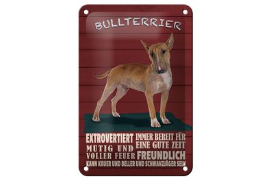 Blechschild Spruch 12x18 cm Bullterrier Hund immer bereit Deko Schild
