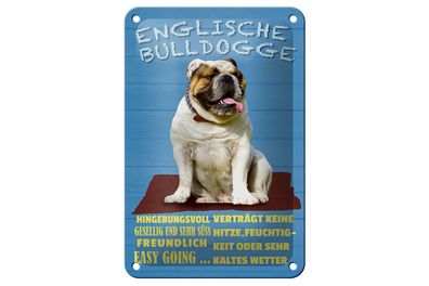 Blechschild Spruch 12x18 cm Englische Bulldogge Hund süss Deko Schild