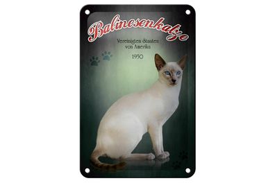 Blechschild Katze 12x18 cm Balinesenkatze Amerika 1950 Deko Schild