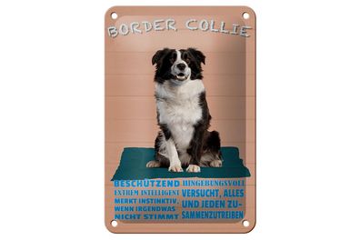 Blechschild Spruch 12x18 cm Border Collie Hund intelligent Deko Schild