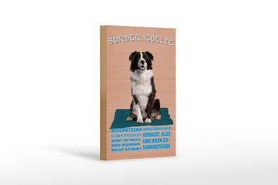 Holzschild Spruch 12x18 cm Border Collie Hund intelligent Deko Schild