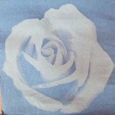20x Tex-Touch Servietten Napkin Tissue 2-lg 38 x 38 cm 1/4 Falz "Blau Rose"