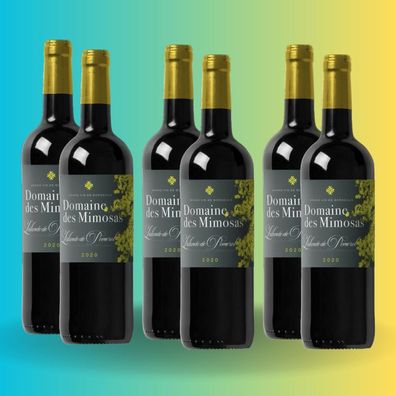 Weinpaket Domaine des Mimosas 2020 Pomerol Bordeaux Rotwein (6x0,75L) Trocken