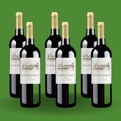 Weinpaket Chateau Tour Blanquet 2020 Saint-Estephe Bordeaux Rotwein (6x0,75L) Trocken