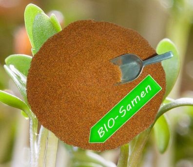 Kresse BIO Samen Gartenkresse Cresso 500g frische, reine Ware Samen