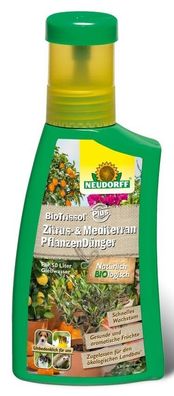 Neudorff Zitrus und Mediterran Dünger Bio Trissol 250 ml