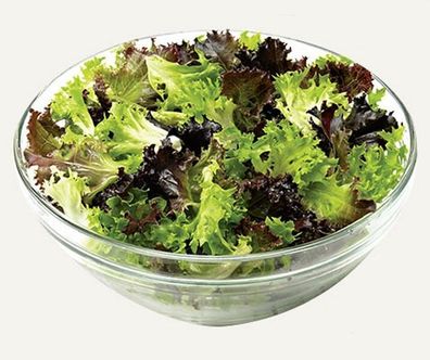 Salat Balkon Salat Eazyleaf Mischung Samen